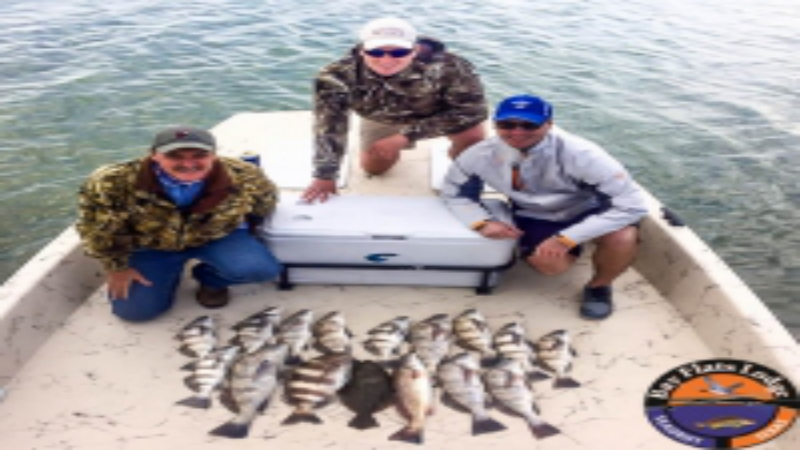 What You Need to Know about Planning a Texas Fishing Trip