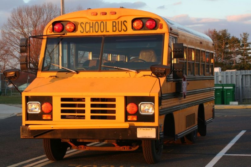 what-to-know-about-school-bus-rentals-hot-search-engine