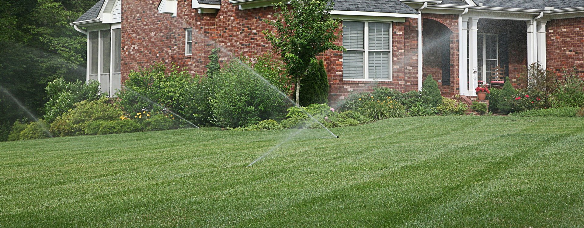 How Effective Weed Control in Olive Branch, MS, Keeps Lawns Beautiful All Season