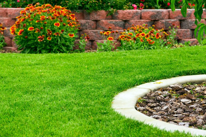 Achieve a Healthier Yard with Lawn Care in Minnetonka, MN, Proven Maintenance Solutions
