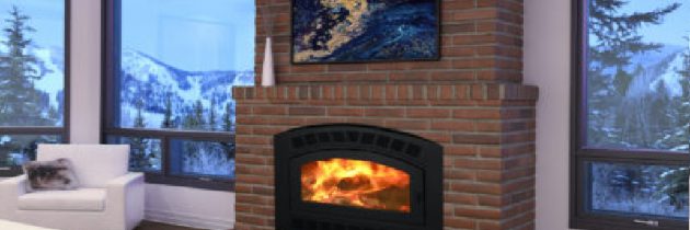 Quality Electric Fireplace Insert Replacement