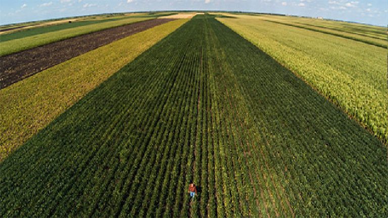 Finding Koch Fertilizer in Lebanon, IN