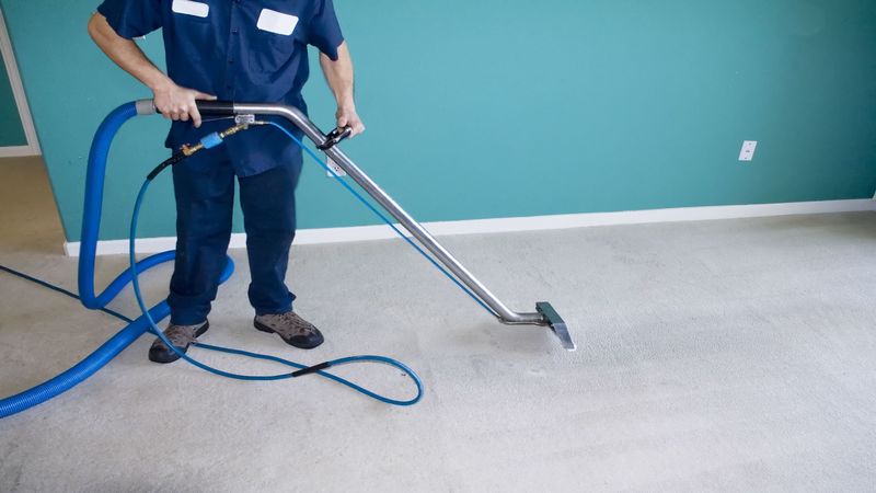 A Carpet Cleaning Service in Pasco, WA Can Give New Life to Old Carpets