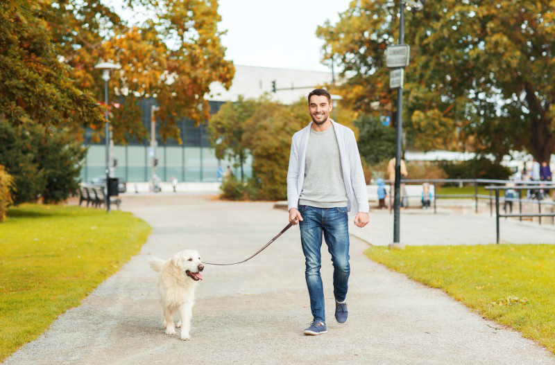 Getting Help From a Professional New York Dog Walker Can Be Beneficial