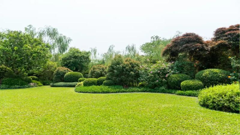 What to Know about Affordable Lawn Care Services in Louisville, KY