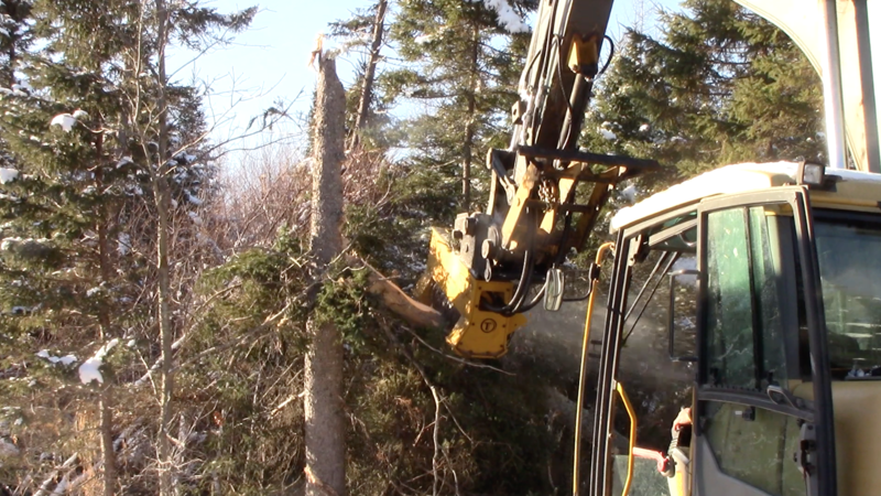 A Mulcher Head for a Mini Excavator Can Make Life Easier