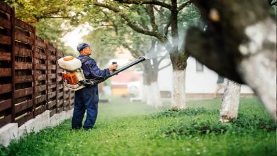 The Benefits of Professional Tree Care in Prospect, KY