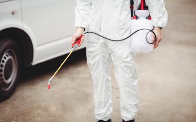 Keep pests out with professional pest control services in Minnesota