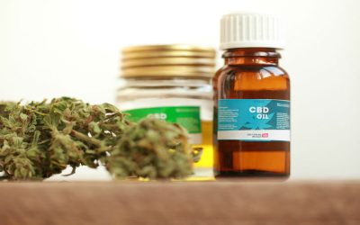 Elevating Your Cannabis Business: Top Innovative Dispensary Branding Strategies for Growth