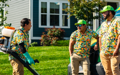 Effective Weed Control for Lawns in Haymarket, VA: A Homeowner’s Guide