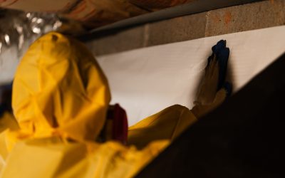 Protect Your Home and Health with Crawl Space Mold Remediation Peachtree City GA solutions