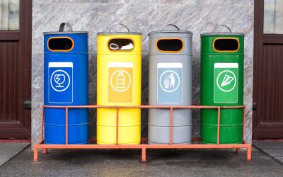 Uncover the Benefits of Sustainable Waste Recycling Egg Harbor Township NJ Residents Trust