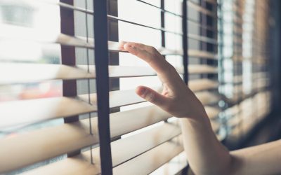 Why Homeowners Trust Window Shades For Windows Chandler AZ for Stylish Privacy