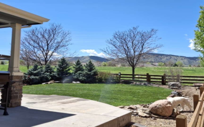 Enjoy a Healthier Lawn With Expert Lawn Care Companies Near Fort Lupton CO