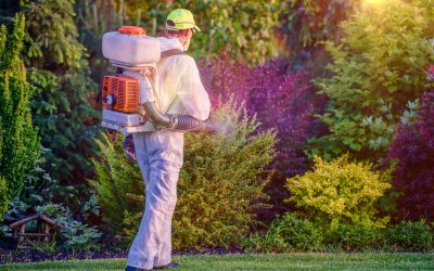 Keeping landscapes beautiful with tree and shrub care mt. washington ky solutions
