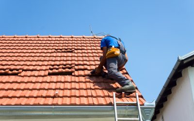 Choosing the Right Commercial Roof for Your Business: What to Consider