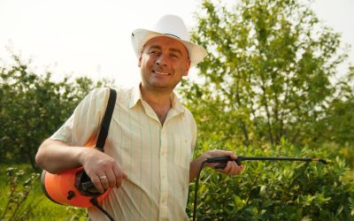 Managing Weeds Effectively With Herbicides For Pastures To Boost Livestock Productivity