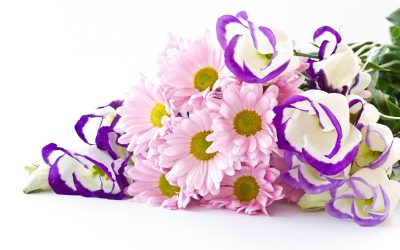 The Significance of Funeral Flower Delivery Port St Lucie FL for Lasting Tributes