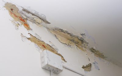 Emergency Water Damage Restoration Quincy IL Services That Save Time and Reduce Stress