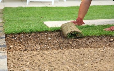 Choosing the Right Bermuda Grass for a Southern California Lawn