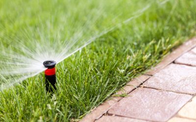 Understanding Underground Sprinkler System Installation